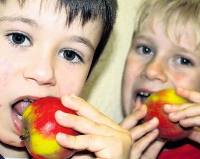 2008-09-02_OZ-Schulapfel