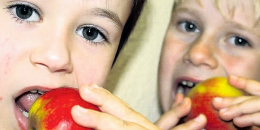 2008-09-02_OZ-Schulapfel