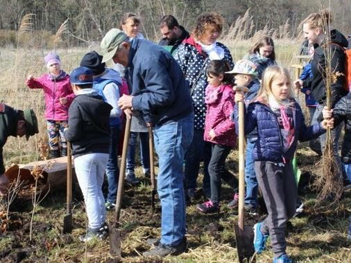 Weitere-200-Stieleichen-fuer-Usedomer-Klimawald_big_teaser_article