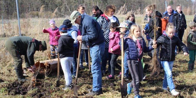 Weitere-200-Stieleichen-fuer-Usedomer-Klimawald_big_teaser_article