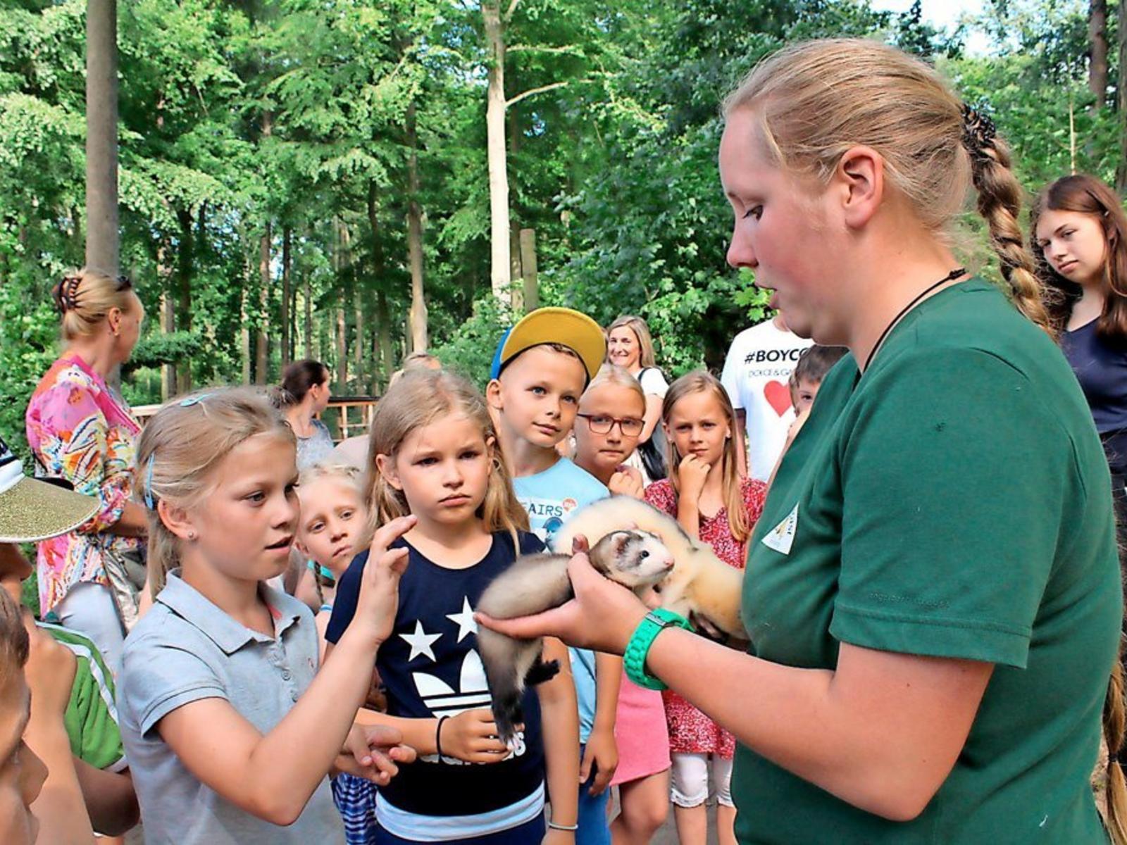 Tierpark-Stadtvertreter-fordern-Sacharbeit_reference_4_3